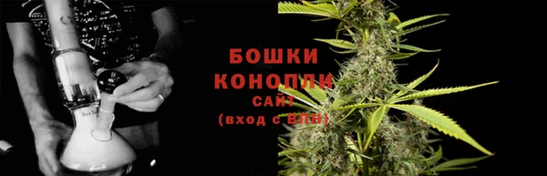 винт Богданович