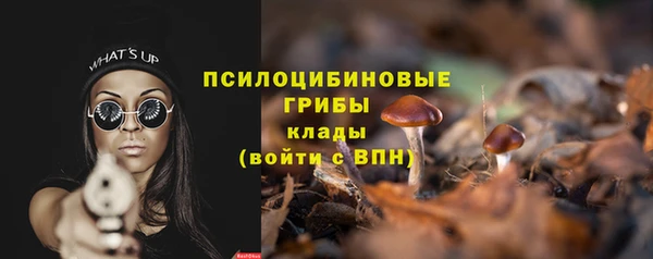 Альфа ПВП Богородицк