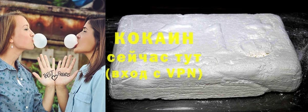 винт Богданович