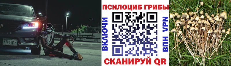Купить закладки  Харовск  Галлюциногенные грибы Psilocybine cubensis 